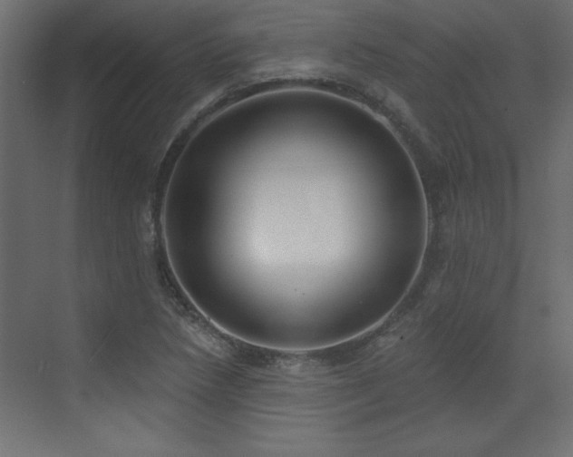 X0000073481218200607311152