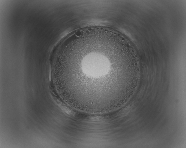 X0000073481219200607311152