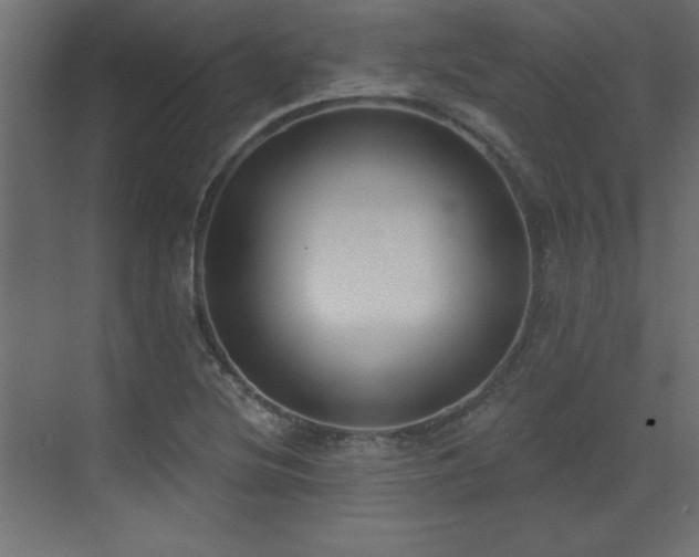 X0000073481220200607311152