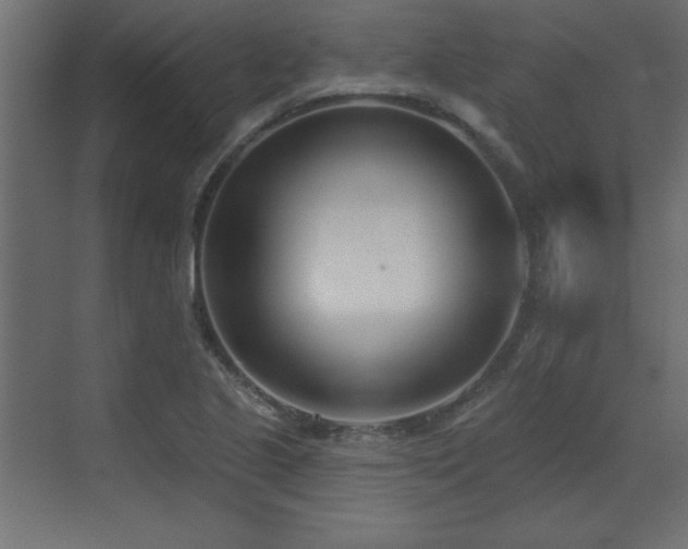 X0000073481221200607311152