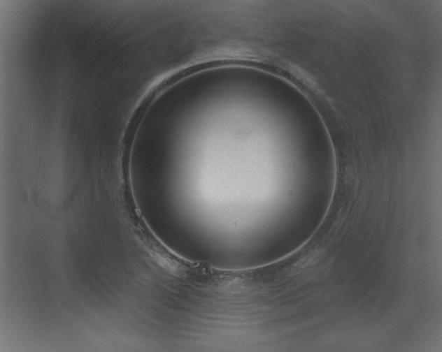 X0000073481222200607311152