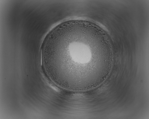 X0000073481223200607311152