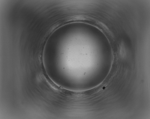 X0000073481225200607311152