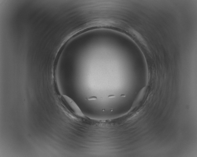 X0000073481226200607311152