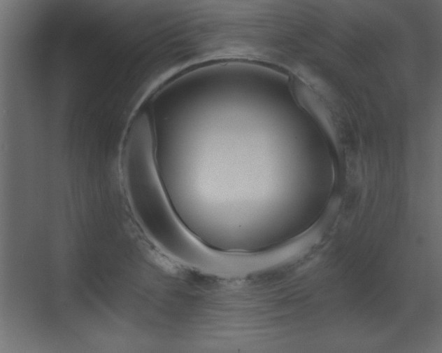 X0000073481230200607311152