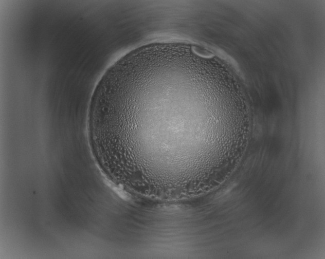 X0000073481231200607311152