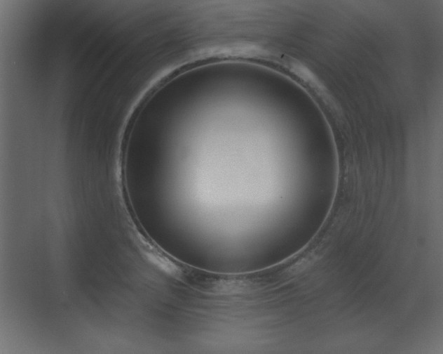 X0000073481232200607311152