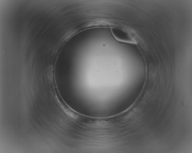 X0000073481233200607311152