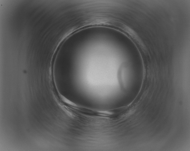 X0000073481234200607311152