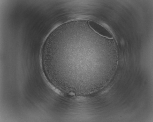 X0000073481235200607311152