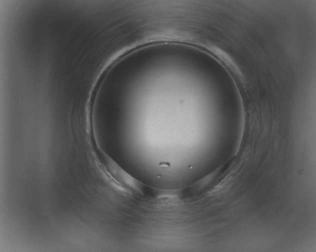 X0000073481238200607311152