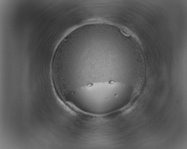 X0000073481239200607311152