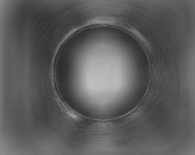 X0000073481240200607311152