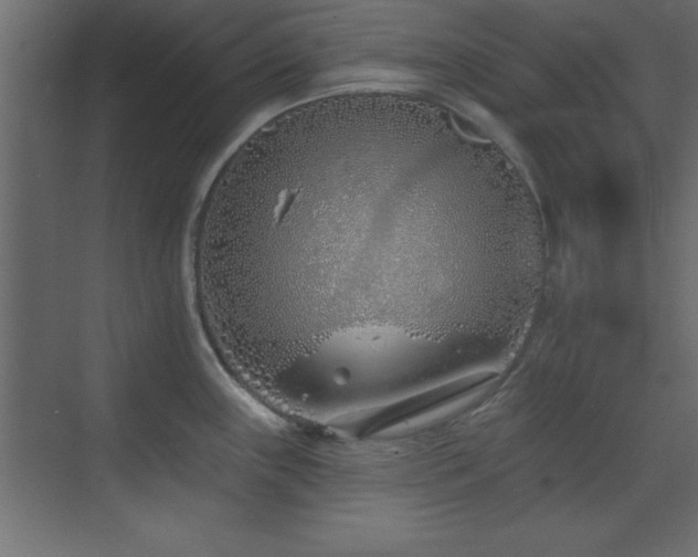 X0000073481243200607311152