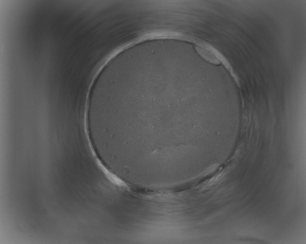 X0000073481245200607311152