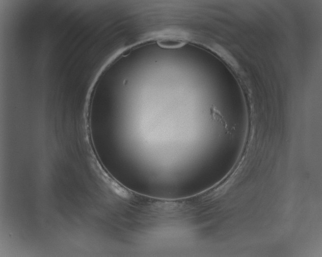 X0000073481248200607311152