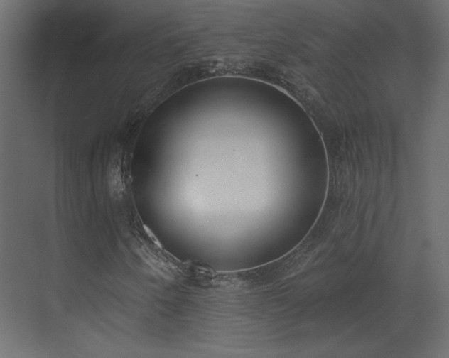 X0000073481250200607311151