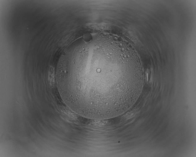 X0000073481251200607311151