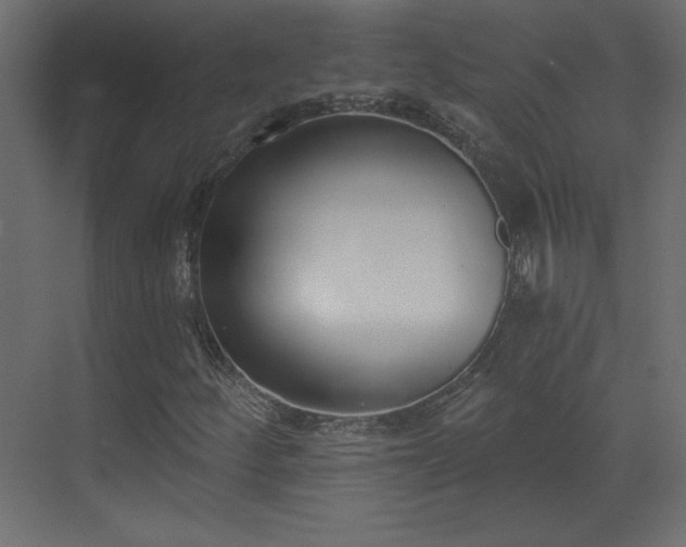 X0000073481252200607311151