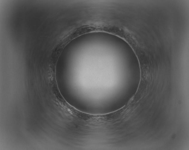 X0000073481253200607311151