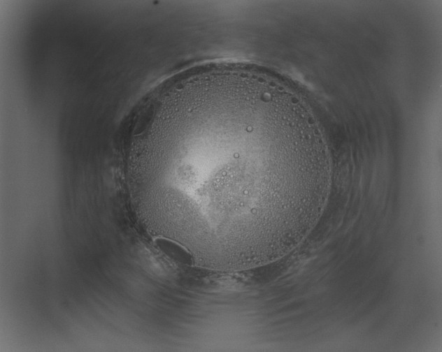 X0000073481255200607311151