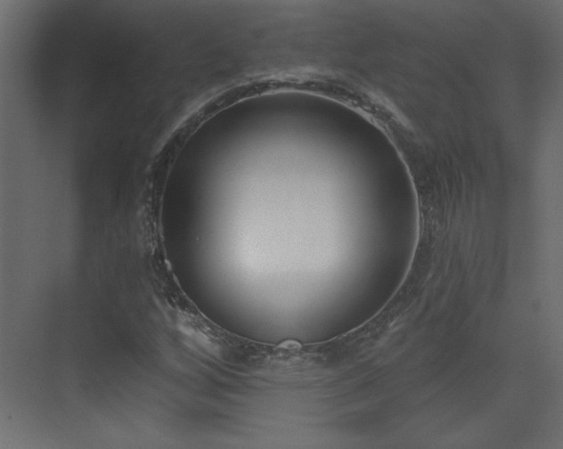 X0000073481256200607311151