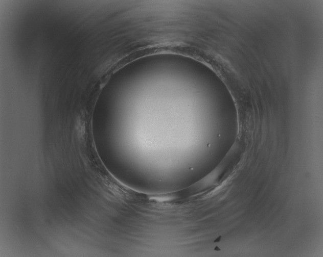 X0000073481257200607311151