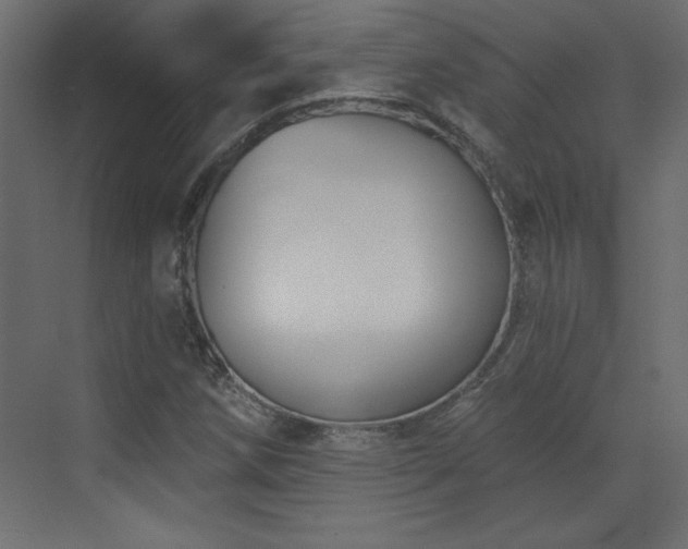 X0000073481258200607311151