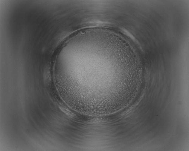 X0000073481259200607311151