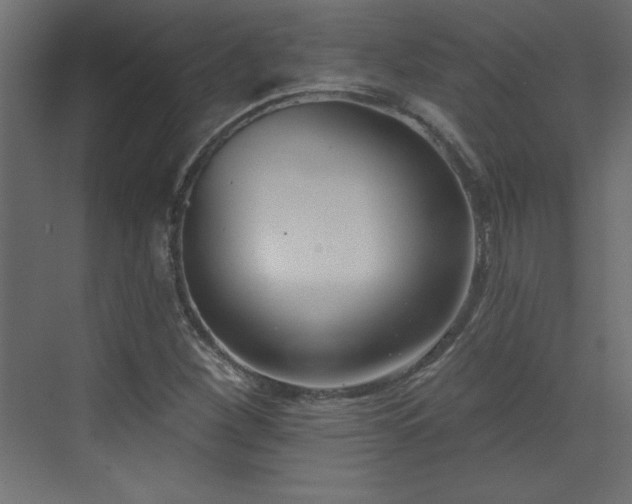 X0000073481260200607311151