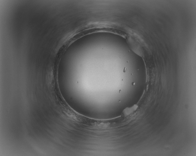 X0000073481261200607311151