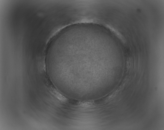 X0000073481262200607311151