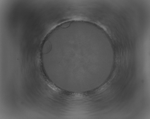 X0000073481263200607311151