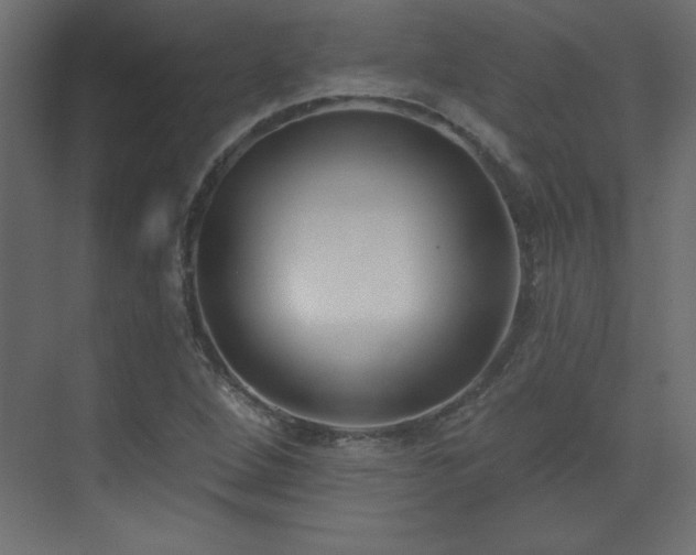 X0000073481264200607311151