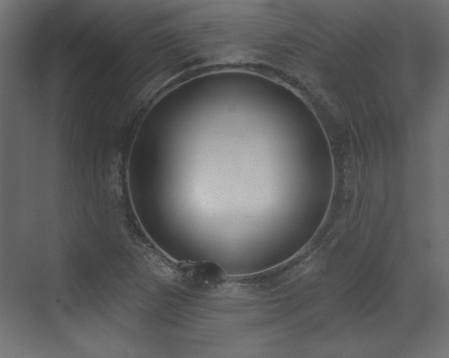 X0000073481265200607311151