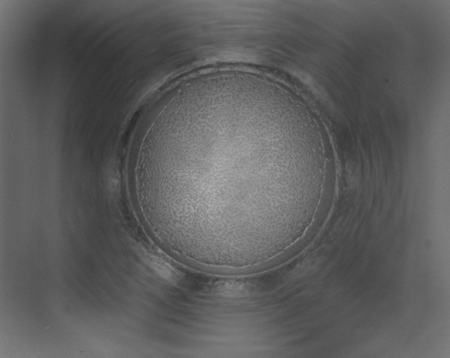 X0000073481266200607311151