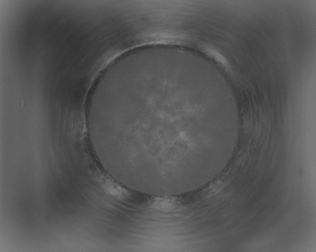 X0000073481267200607311151