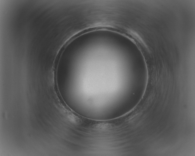 X0000073481268200607311151