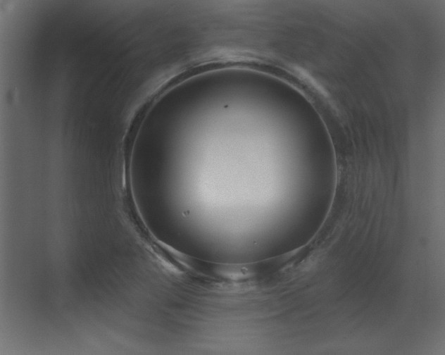 X0000073481269200607311151