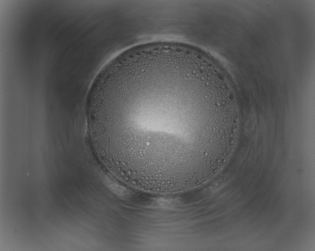 X0000073481271200607311151