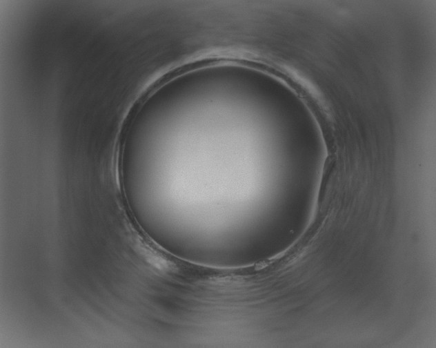 X0000073481272200607311151