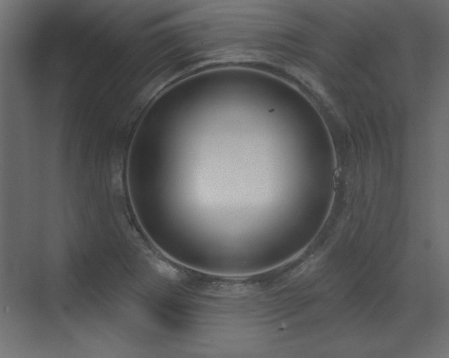 X0000073481273200607311151