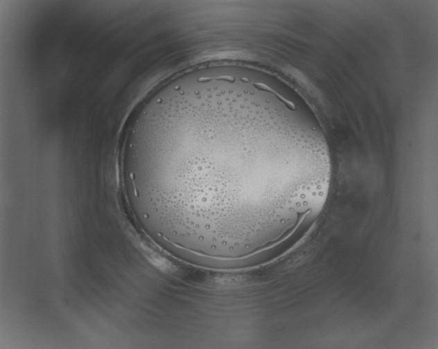 X0000073481274200607311151