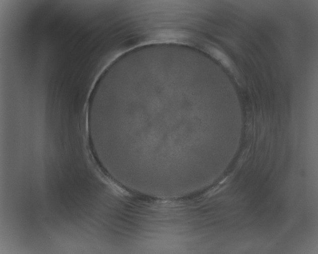 X0000073481275200607311151