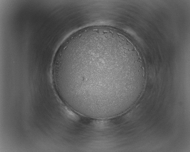 X0000073481278200607311151