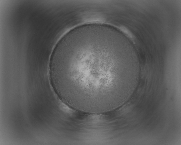 X0000073481279200607311151