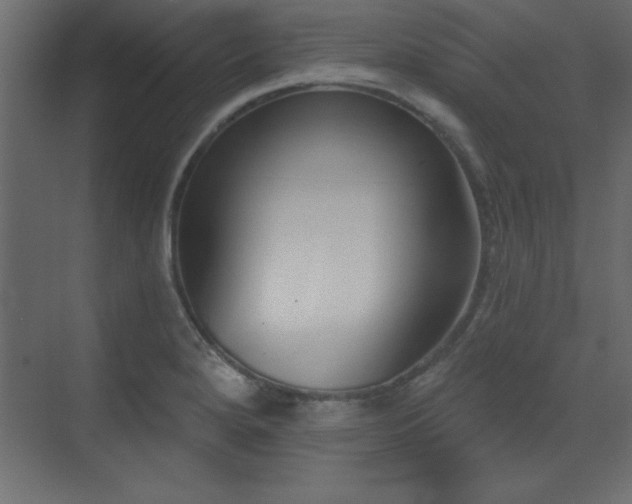 X0000073481280200607311151