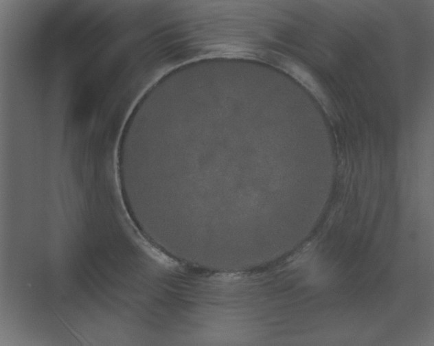 X0000073481283200607311151