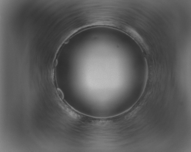 X0000073481284200607311151