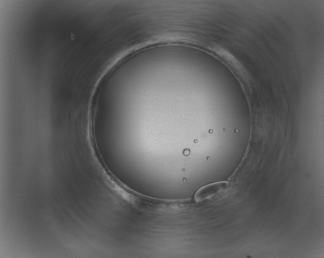 X0000073481286200607311151